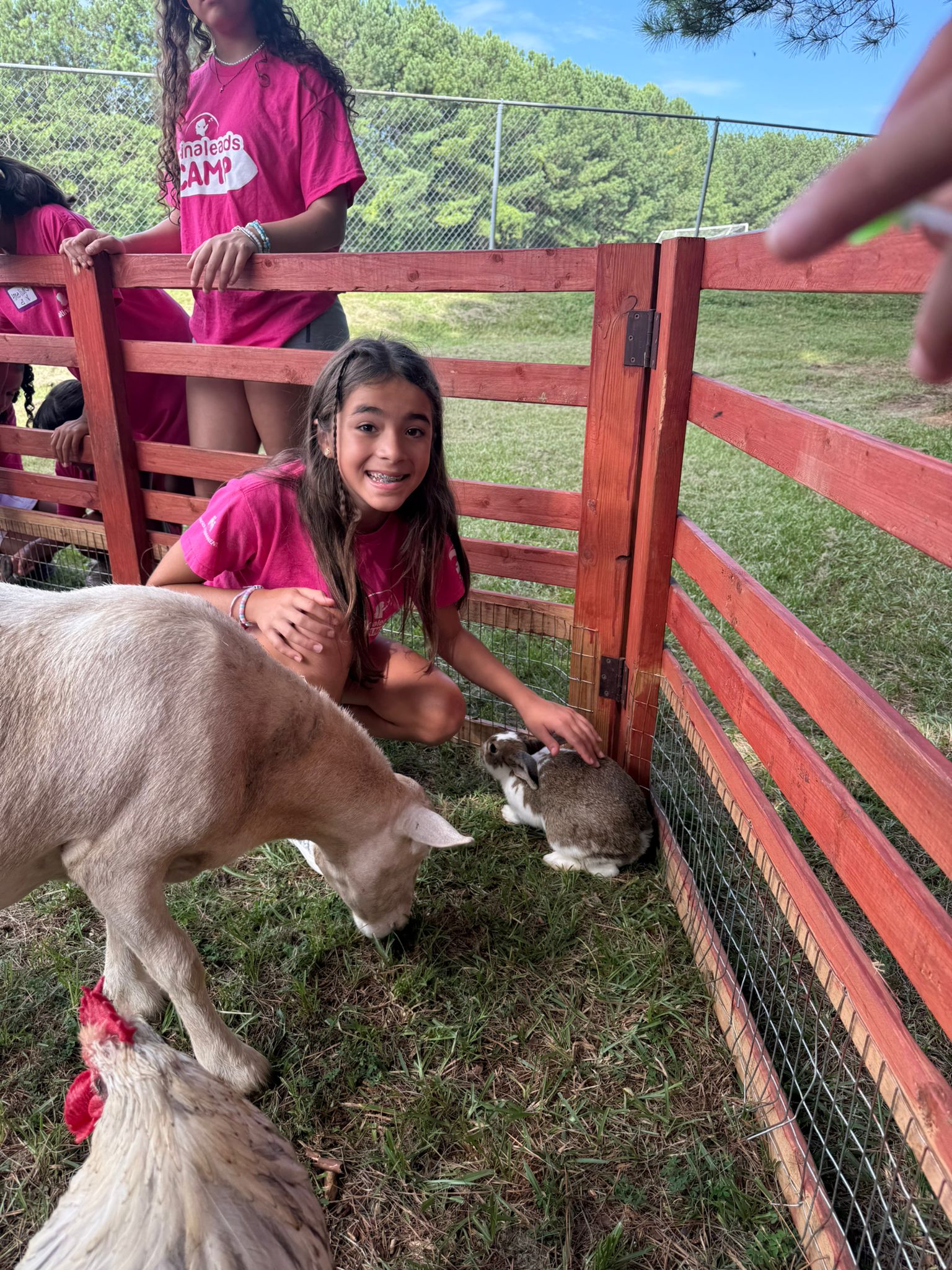 Encuentro con animales de granja